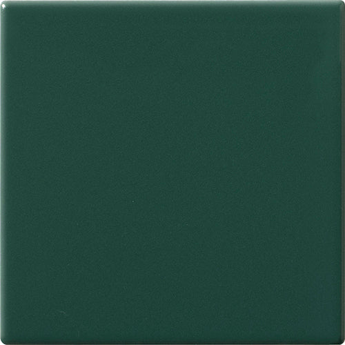 CESI I Colori 10x10 cm Felce