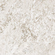 FLORIM-ARCHITECTURAL PLIMATECH WHITE 02 6MM 120X120 RETT