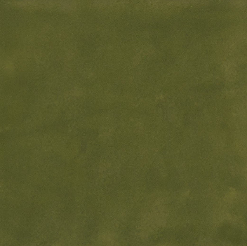 SENSI COLORE Muschio 11,6x11,6