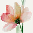 COTTO D'ESTE Wonderwall Fleur A 50x100 cm