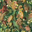 COTTO D'ESTE Wonderwall Foliage A+B 50x100 cm
