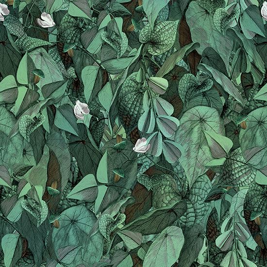 COTTO D'ESTE Wonderwall Printemps A+B 50x100 cm