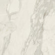 COTTO D'ESTE Starlight Calacatta Supreme Smooth 120x120 cm