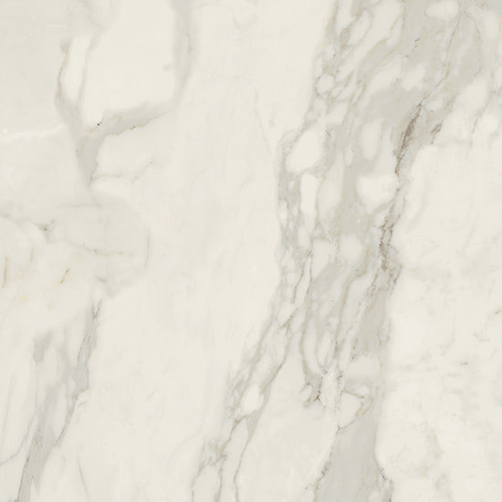 COTTO D'ESTE Starlight Calacatta Supreme Smooth 120x120 cm