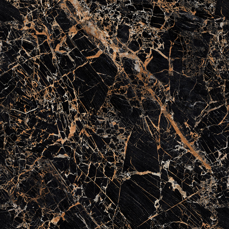 Carrelage Versace Maximvs Black & Gold 60x60 cm