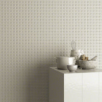 VIVES RUBRICA PAOLA GRIS-B 20x20 BRILLANT