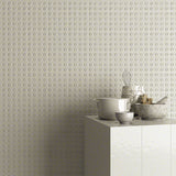 VIVES RUBRICA PAOLA GRIS-B 20x20 BRILLANT
