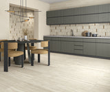 VIVES PARIS NATURAL 30x60 MAT