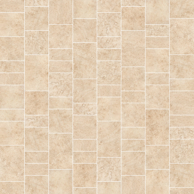 NOVOCERAM RACINES BANDES ROMAINES AUGUSTA OUTDOOR PLUS 20 mm — Clair