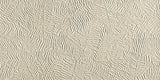 FAP CERAMICHE BLOOM STAR BEIGE 80x160 MAT