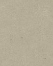 Light Grey Dot