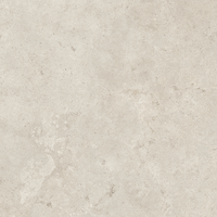 LIVING CERAMICS VERSO CROSS CUT CLASSIC 60x60 R11