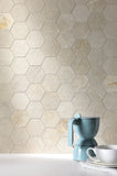 ISLA TILES CANYON IVORY 30x60 MAT