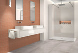 Carrelage Natucer Evoke 2,5x30 CLAY