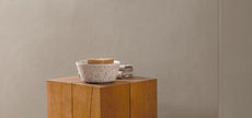 FAP CERAMICHE COLOR MOOD TORTORA 80x160 MAT