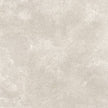 Refin Coquille Champagne 30x60