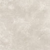 Refin Coquille Champagne 30x60