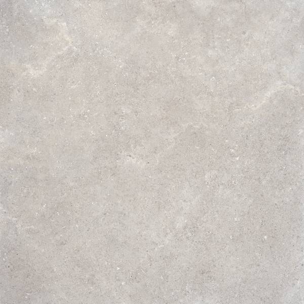 Refin Coquille Gris 30x60