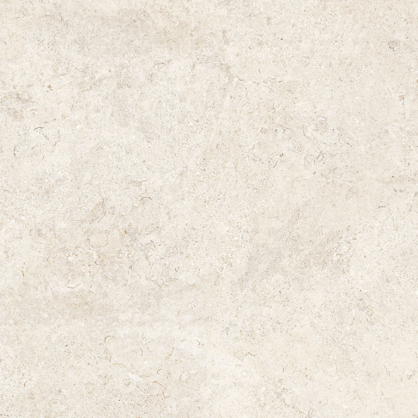 CRZ64 Coquina White — carrelage effet pierre