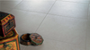 NOVOCERAM SAMSARA PLINTHE 7,4x30 — Novoceram
