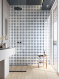 FIORANESE CEMENTINE SHINY SHINY_4 LUCIDO 20x20