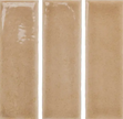 WOW SKIN BISCUIT 4x12,5 BRILLANT