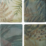 WOW AQUA DECOR GREEN 11x11 ANTIDERAPANT R11