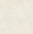 SERENISSIMA ECLETTICA BIANCO ECLETTICO 60x60 MAT