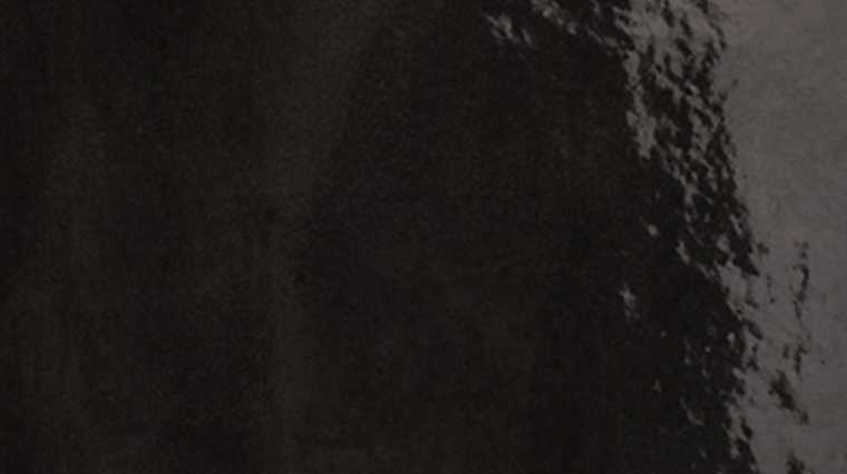ELIOS CERAMICA TROPICAL NERO 20x20 LUCIDO