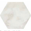 ELIOS CERAMICA TROPICAL EXA BIANCO 22x25 MAT