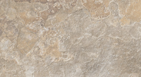 ELIOS CERAMICA SLATE GOLD 30x60 NATURAL
