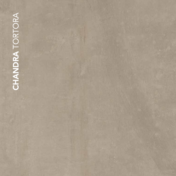 Carrelage effet béton CRZ Chandra Tortora 80x80 cm – vue 2