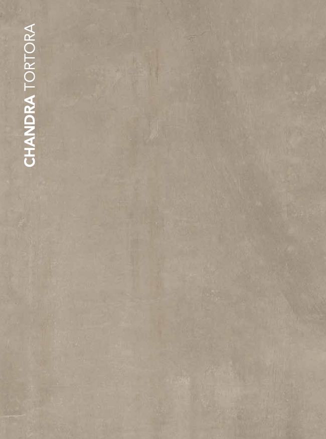CRZ CHANDRA TORTORA 30x60 MAT
