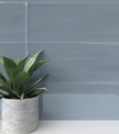 SAVOIA BOTANICAL PIGMENT GLOSSY BLUE - 25x75