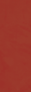 LOVE TILES SPLASH RED MAT 20x60