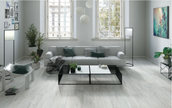 CERDOMUS OTHELLO GREY 20x120 MAT