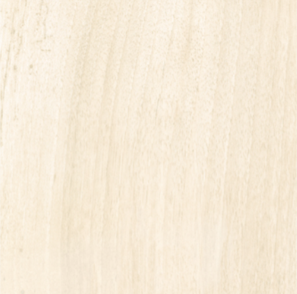 CERDOMUS ANTIQUE IVORY 20x120 MAT