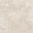 REFIN COQUILLE CHAMPAGNE 30x60 MAT