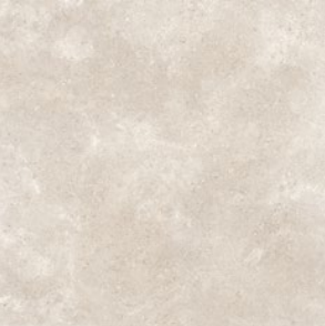 REFIN COQUILLE CHAMPAGNE 30x60 MAT