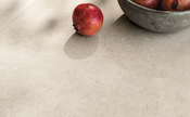REFIN COQUILLE CHAMPAGNE 30x60 MAT