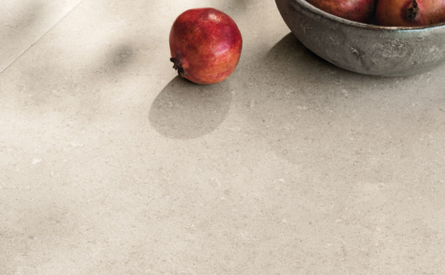 REFIN COQUILLE CHAMPAGNE 30x60 MAT