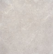 REFIN COQUILLE GRIS 120x120 MAT