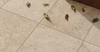 NOVOCERAM TIBER 80x80 OUTDOOR PLUS 20 mm — Novoceram