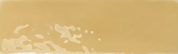 WOW REBELS MUSTARD 5x15 GLOSSY