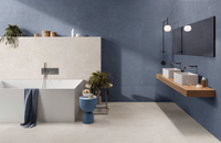 EMILCERAMICA TOTALOOK BLU AVIO 60x60 SOFT R9