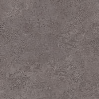 EMILCERAMICA LANDSCAPE ANTHRACITE 80x80 NATURAL R11 ANTIDERAPANT 20 mm