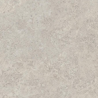 EMILCERAMICA LANDSCAPE CENERE 80x80 NATURAL R11 ANTIDERAPANT 20 mm