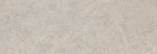 EMILCERAMICA LANDSCAPE CENERE 60x60 SILKTECH