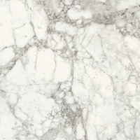 SUPERGRES PURITY MARBLE ARABESCATO 60x120 MAT