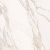 SUPERGRES PURITY MARBLE CALACATTA 120x120 LUX